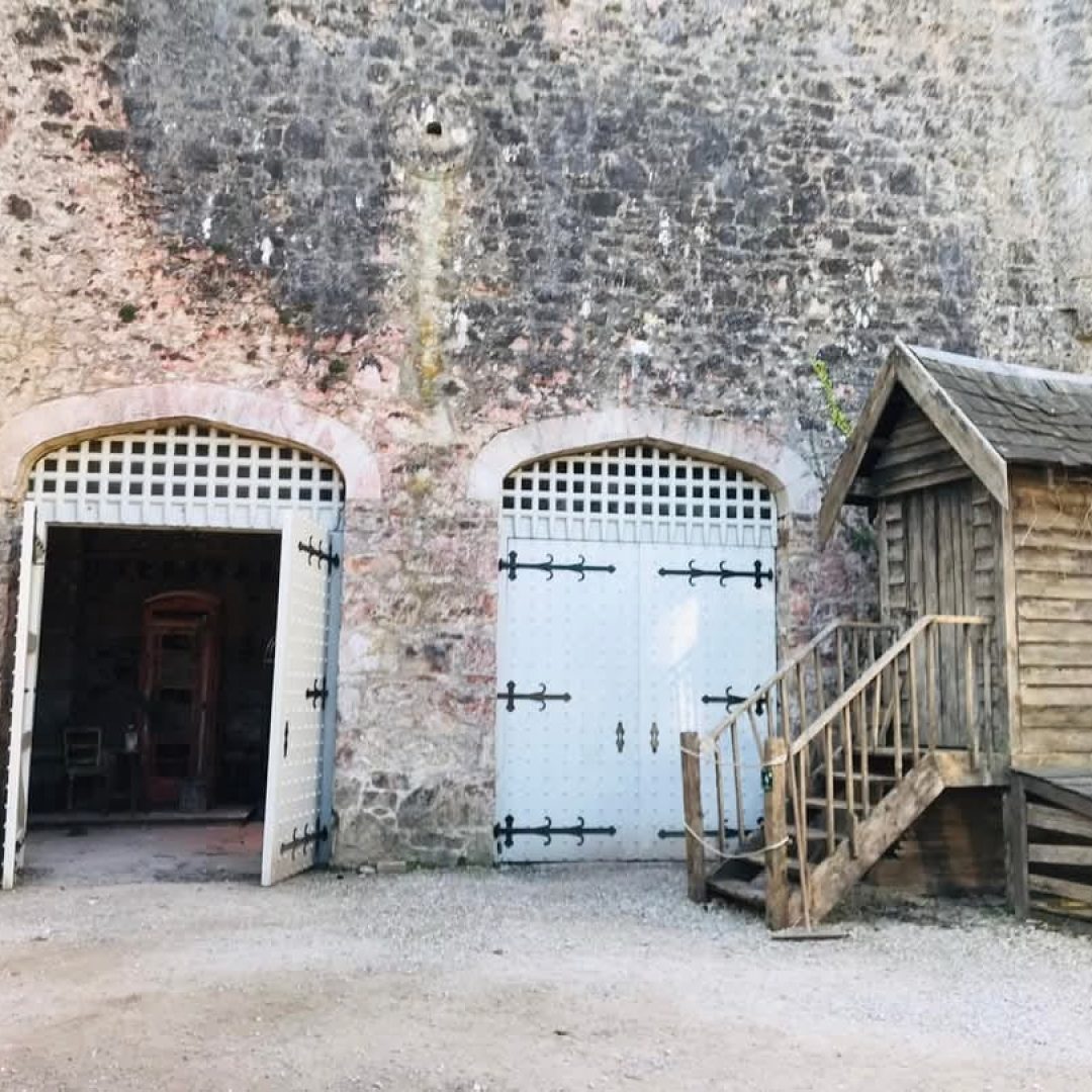 WhatsApp Image 2026-03-23 at 16.10.49