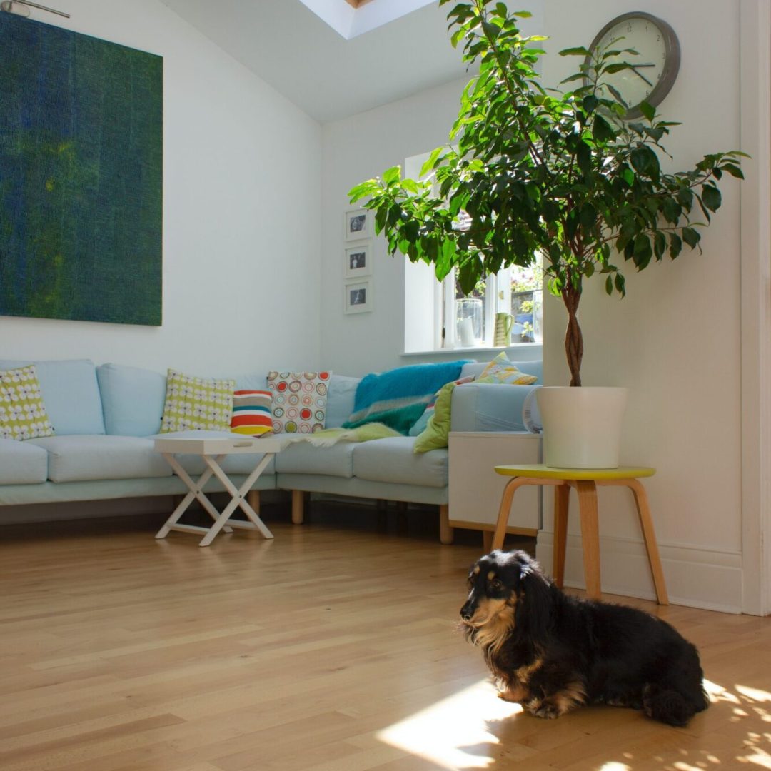 darren-richardson-nhEHcQx7g3w-unsplash